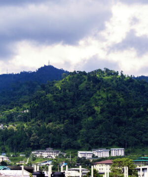 Bhutan foothills